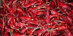 Dry Red Chilli