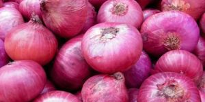 Red Onion