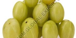 Fresh Amla