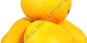 Fresh Banganapalli Mango