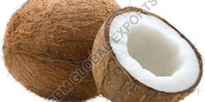 Fresh Brown Coconut
