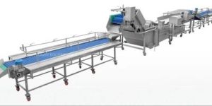 Fruits and Vegetables Processing Line