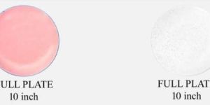 10 Inch Stoneware Full Plate