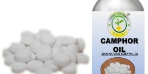Camphor Oil