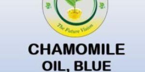 CHAMOMILE OIL,BLUE