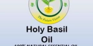 Holy Basil (Tulsi) Oil