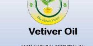 Vetiver Oil