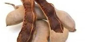 Raw Tamarind