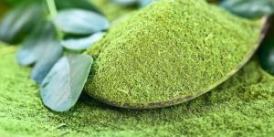 Organic Moringa Powder