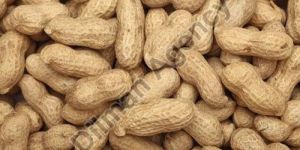 Brown Shelled Groundnuts
