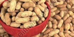Dried Shelled Groundnuts