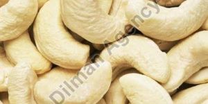 Fresh Cashew Nuts