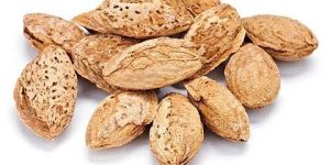 Kagzi Shelled Almonds