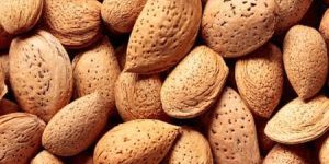 Kashmiri Shelled Almonds