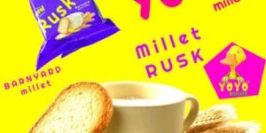 Barnyard Millet Rusk 35grams - millets