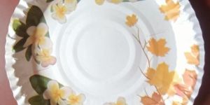 12 Inch Disposable Printed Paper Plate