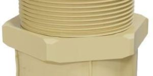 CPVC Male Threaded Adapter