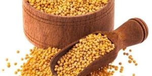 Yellow Mustard Seeds