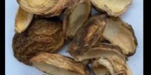 Dried Aam Khapta
