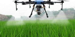 Crop Pesticide Spraying Service