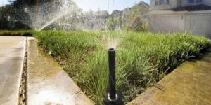 Irrigation System Designing Service