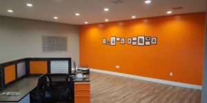 Wall Painting Service