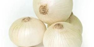 a Grade White Onion