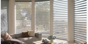 Window Blinds