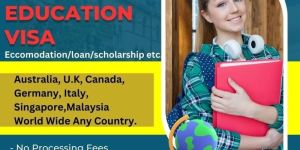 Study Visa Consultancy