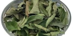 Dehydrated Curry Leaves Flake
