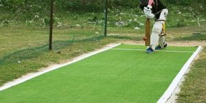 Artificial Cricket Pitch