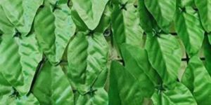 Green Plastic Artificial Leaf