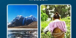 Travel Agents in Siliguri