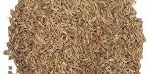 Cumin Seeds