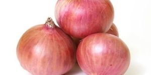 Fresh Pink Onion