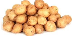 Fresh Small Potato
