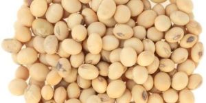 Soybean Dal