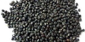 Whole Black Urad Dal