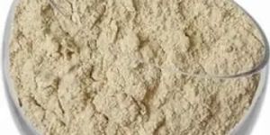 Dehydrated Garlic Powder