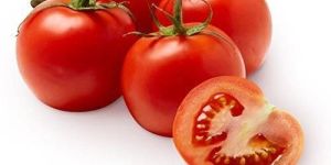Red Fresh Tomato