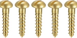 Brass Self Tapping Screws