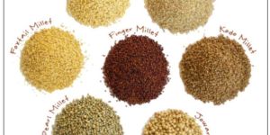 Indian Millets