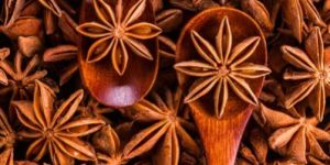 Star Anise