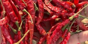 teja deluxe/ best red chilli