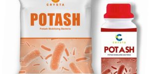 POTASH-Potassium Mobilizing Bacteria
