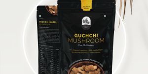 500gm Gucci Mushroom