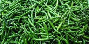 Green Chilli