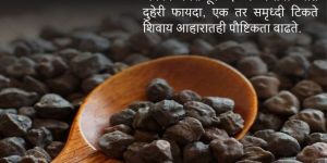 Astrology Service in Pune