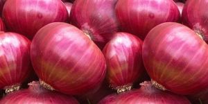 Red Onion