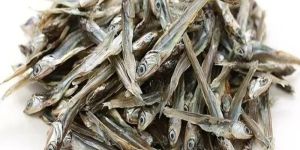 Dried Anchovies